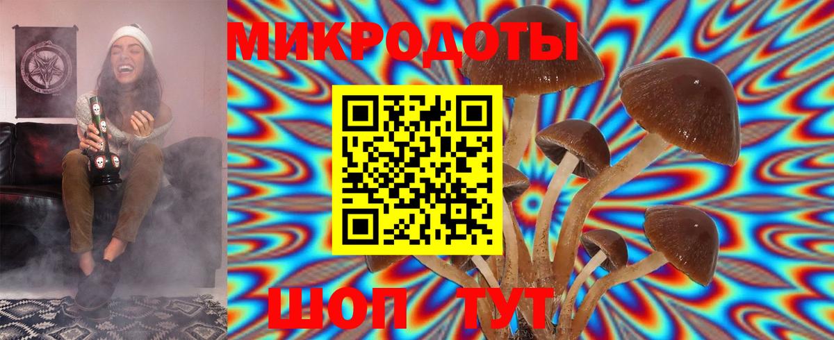 Воскресенск  Псилоцибиновые грибы MAGIC MUSHROOMS  Вход с VPN 
